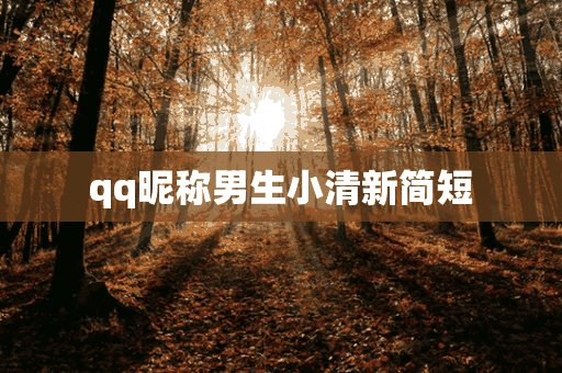 qq昵称男生小清新简短